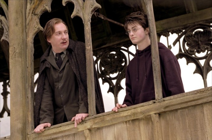 Ddavid Thewlis a su saisir le champ libre qui lui était offert et a composé un Remus Lupin de grande classe.